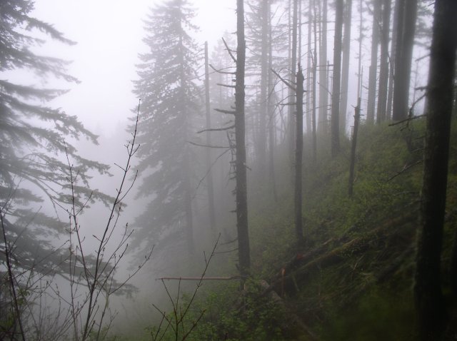 5.7.06 Wauna Point 014 